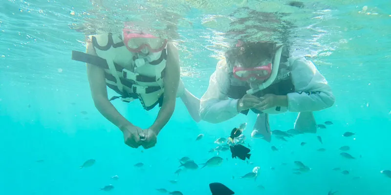 マリンセットＢイメージ