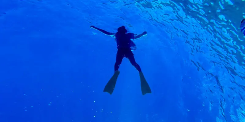 マリンセットＤイメージ